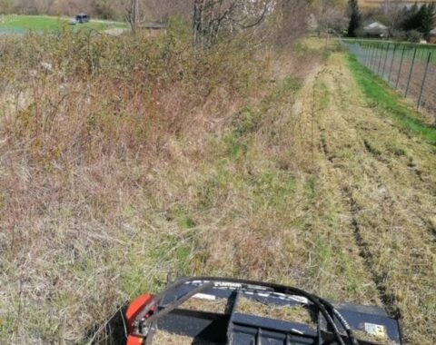 Elhanyagolt telek gépi tisztítása modern munkagéppel